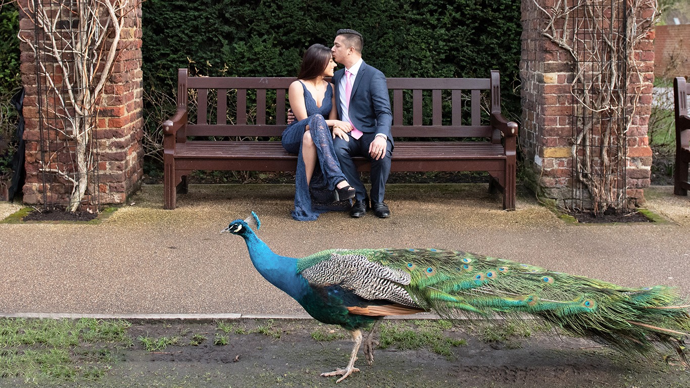 Pre-wedding Shoot | Love & Wilnderness